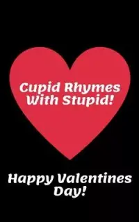 在飛比找博客來優惠-Cupid Rhymes With Stupid Happy