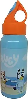 Bluey Stainless Steel Bottle