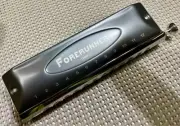 Harmonica Easttop Forerunner, key of C (new)