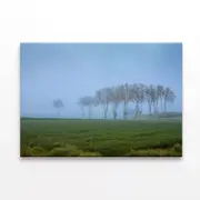 A Grassy Field with Trees, Sky Print 100% Australian Made 150 x 100cm (Stretched)
