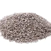 Unsalted Sunflower Seed Kernels by – 2 LBS - Top 11 Food Allergen Free & Non ...