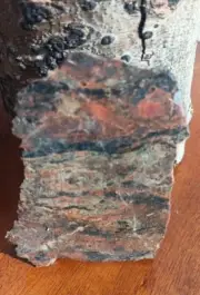 Volcanic Petrified Wood Limb Casting End Cut From Cube Utah See Cube In Store