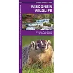 WISCONSIN WILDLIFE: A FOLDING POCKET GUIDE TO FAMILIAR ANIMALS