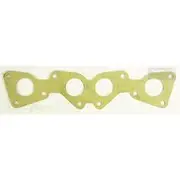 Platinum Extractor Gasket - HSM53