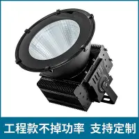 在飛比找Yahoo!奇摩拍賣優惠-500w鰭片led建筑之星塔吊燈400w 300w 600W