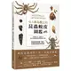 令人歎為觀止的昆蟲蛻皮圖鑑：透過288種美麗「蟲蛻」來探索昆蟲世界的奧祕<啃書>