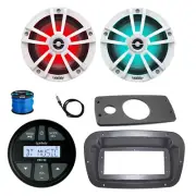Infinity Radio, Adapter, Spa Bezel, 2x 6.5" 225W White LED Speaker w/ANT, Wire
