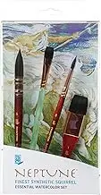 Princeton Neptune Synthetic Bristles Professional Paint Brush Box (Set of 4)