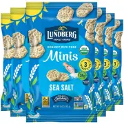 Organic Rice Cake Minis, Sea Salt, 6-Pack – Regenerative Organic Certified Mini