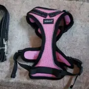 Small cat harness with matching leash NWOT by Scirokko