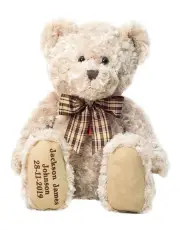 [Teddy and Friends] Personalised My Birthday Teddy With Checked Ribbon
