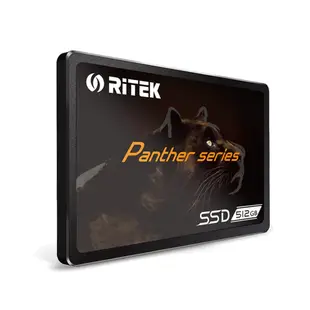 RITEK錸德 512GB SATA-III 2.5吋 SSD固態硬碟