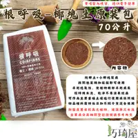 在飛比找蝦皮購物優惠-｜巧琦屋｜根呼吸-椰土+椰塊 70公升原裝包 椰纖土 介質土