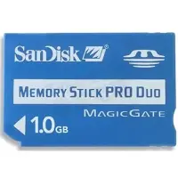 在飛比找蝦皮購物優惠-【二手商品】SANDISK MEMORY STICK PRO