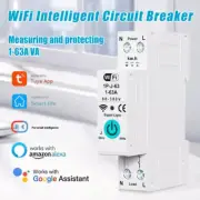 Tuya Wifi Smart Circuit Breaker Switch With Metering 63A1P Din Rai-l Remote App