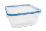 Snapware 5.5 cup Square Plastic Food Storage Container