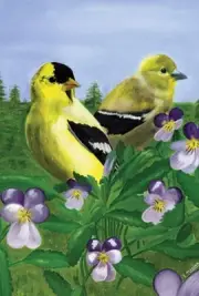 Goldfinches & Violets House size (28" x 40" Approx) Flag..10... PR 52343