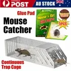 5-20PCS Mouse Traps Rat Mice Mouse Trap Board Snare Catcher Board Pad AU