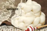 SOUTHDOWN Wool Undyed Combed Top Natural Ecru White Wool Roving Spinning 4 oz