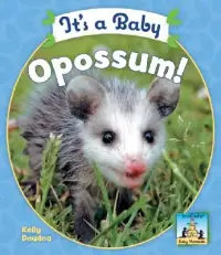 在飛比找博客來優惠-It’s a Baby Opossum