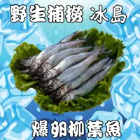 在飛比找momo購物網優惠-【金牌廚藝】野生捕撈冰島爆卵柳葉魚