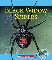 Black Widow Spiders