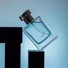 Men's Perfume Long Lasting Eau de Toilette Natural Woody Fragrance Cologne