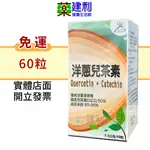 【免運】美天健 洋蔥兒茶素 膠囊 60粒 洋蔥素 兒茶素 綠茶多酚 -建利健康生活網