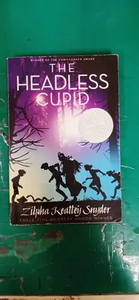 在飛比找露天拍賣優惠-The Headless cupid 英文原文小說 Zilp