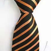 Tie Stripe Orange Black tie Trade tie Student Interview tie.
