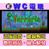 在飛比找蝦皮購物優惠-【WC電玩】泰拉瑞亞 中文 PC離線STEAM遊戲 Terr