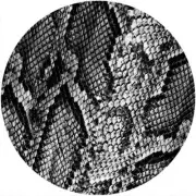Slipmat Scratchpad Felt for any 12" Turntable LP DJ Record Player SNAKESKIN BW