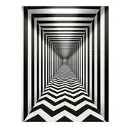 Modern Art Originals Illusion Canvas Print