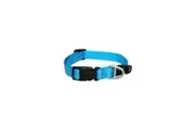 Rogz Turquoise Medium 16mm Wide x 26cm to 40cm Classic Utility Collar for Dogs & Puppies