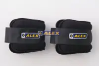 在飛比找Yahoo!奇摩拍賣優惠-總統體育(自取可刷國旅卡) ALEX BEAUTY型 加重器