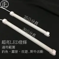 在飛比找蝦皮購物優惠-USB隨插即用LED釣魚露營日光燈條LED燈 燈條-隨插即用