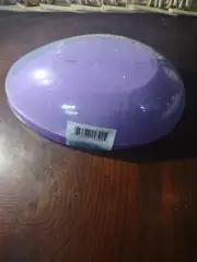 Jumbo Purple Egg Container
