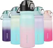 18Oz Insulated Water Bottle with Straw Stainless Steel Double Wall Water Bottles