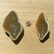 2 Polished Geode Rock Slices Thick End Cut Stones Matching Brown Agate Crystals