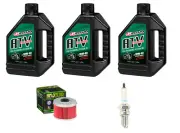 Oil Change Kit HONDA 2004 TRX300EX ENGINE TUNE UP SERVICE FILTER SPARK PLUG