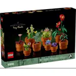 ❗️現貨❗️《超人強》樂高LEGO 10329 迷你盆栽 TINY PLANTS 花藝收藏