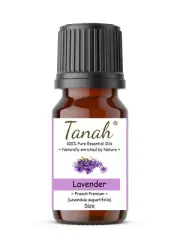 LAVENDER (French Premium) Essential Oil (Lavandula angustifolia) Tanah 100% Pure
