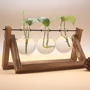 KYDCO Plant Terrarium with Wooden Stand, Plant Propagation Stations Glass Planter Bulb Vase Metal Swivel Holder Retro Tabletop for Hydroponics Home Garden Office Decoration (Brown,3 Bulb Vase)