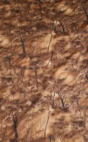 Hoffman International Fabric Brown Metallic Forest Trees Winter Solstice 1 yard