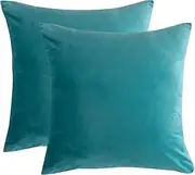 RainRoad Velvet Decorative Throw Pillow Covers Cushion Cover Pillow Case for Sofa Couch Bed Chair,Soft Square Light Teal Throw Pillows 18x18 Inch,Set of 2