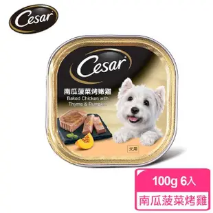 【Cesar西莎】精緻/風味餐盒 100g*24入 寵物/狗罐頭/狗食(任選)