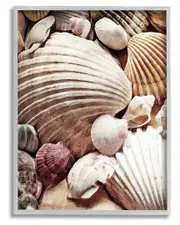 Various Nautical Clam Conch Shells Framed Giclee Wall Art by Ashley Aldridge
