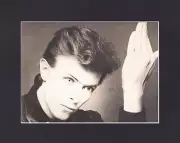 8X10" Matted Print Album Cover Art Picture: David Bowie, Heroes