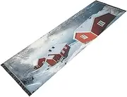 ZRYSMY Washable Runner Rug Winter Landscape Lake 2’ x 6’ Non-Slip Floor Carpet Runner Rug for Hallways Kitchen Laundry Room Bedroom Floor Carpet Runner- Soft Thin Mat for Family Pet