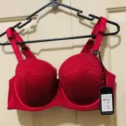 City Chic Boudoir Red Lace Bra Lingerie J Hook Womens Size 16D Claret $79.95